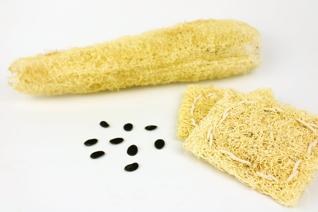 Homegrown Luffa Pad